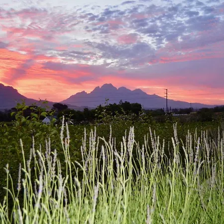 Heuwelsig Cottages Franschhoek Exterior photo