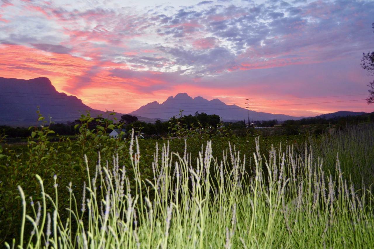 Farm stay Heuwelsig